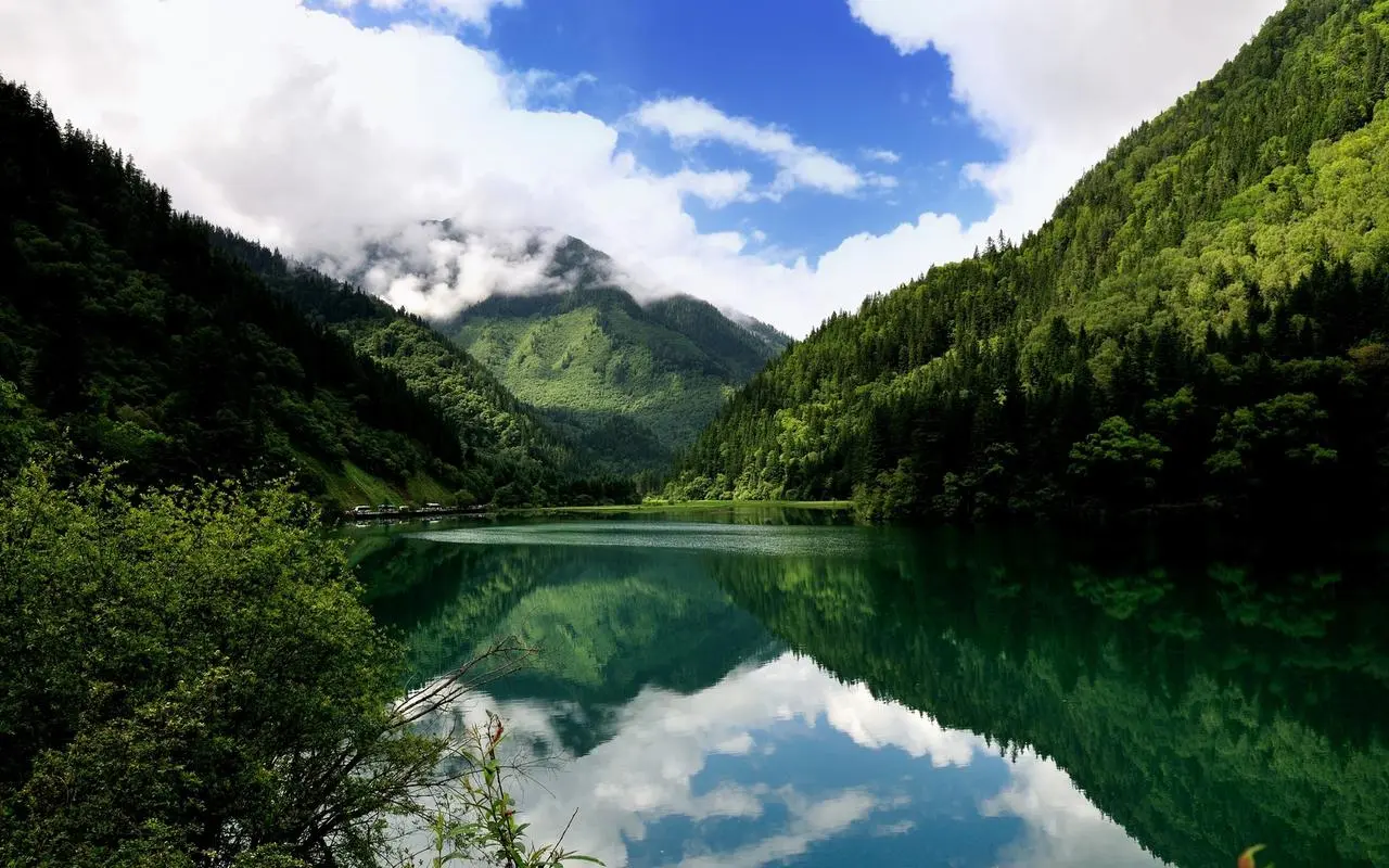 高效可靠性智能